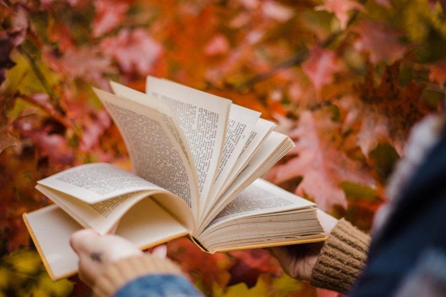 Top 5 Fall Books That Will Put You in the Seasonal Spirit