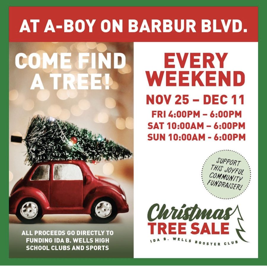 Tree Sales Make the Season Brighter for IBW Clubs, Sports, and Programs