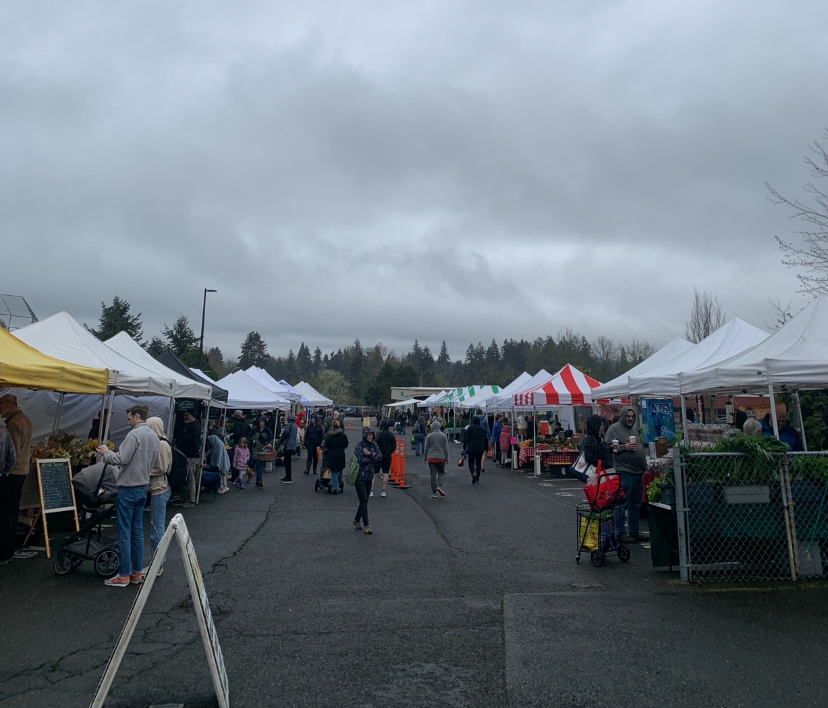 The Hillsdale Farmers Market