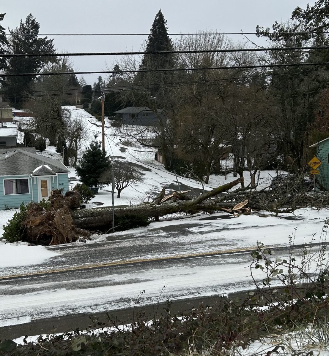 Portlandapocalypse: The ice storm that distroyed Portland