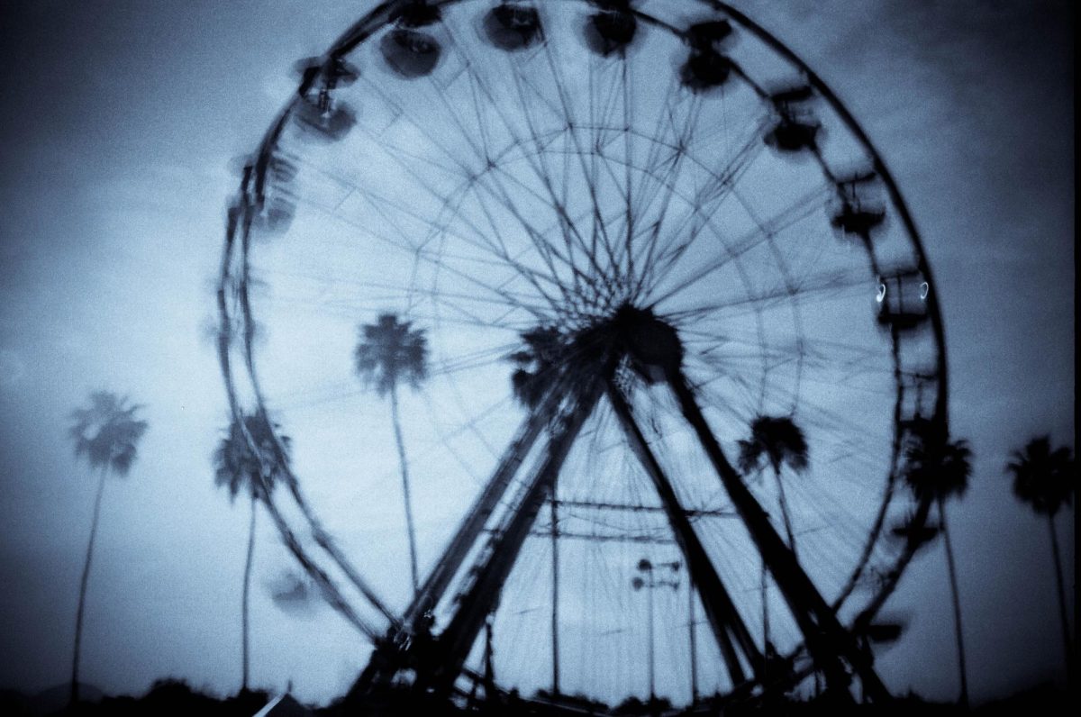 Photo by thesweetnewsound (Elliot Taylor)   via Flickr 