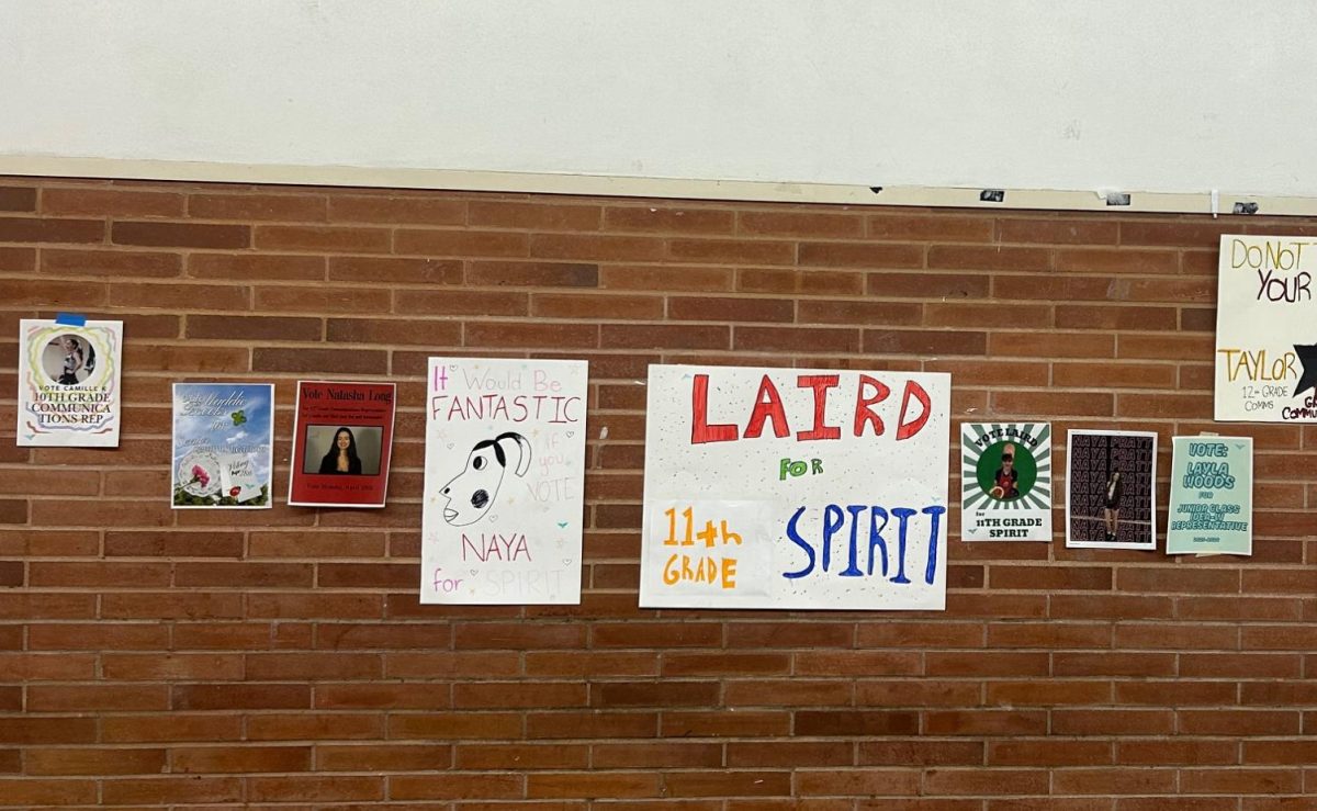 Class Cabinet Elections and the Wells Student Government