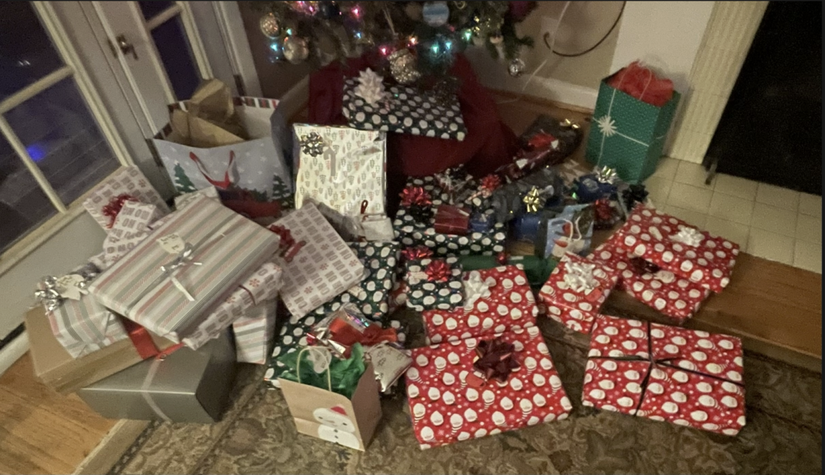 A 2025 holiday gift guide