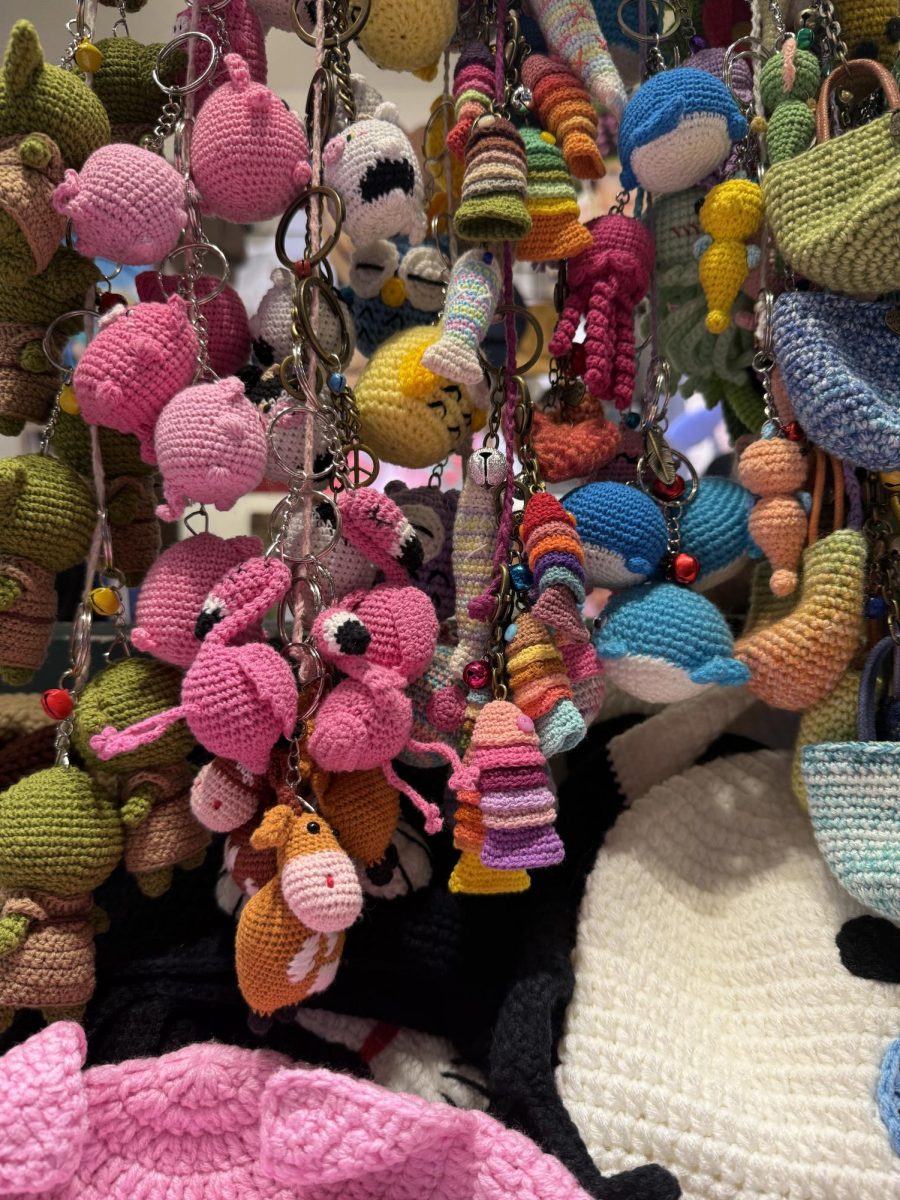 Learn to crochet over the holidays