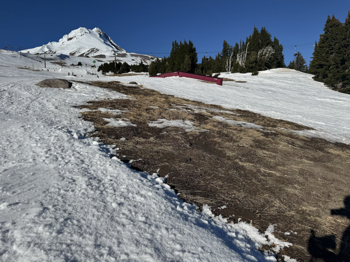 
Image courtesy of Lillian Mongeau Hughes on Jan. 18, 2026 of Mt. Hood Meadows South Canyon ski run, typically covered in snow November-April.