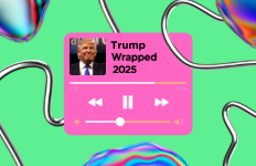 2025 Trump Wrapped: a year in review