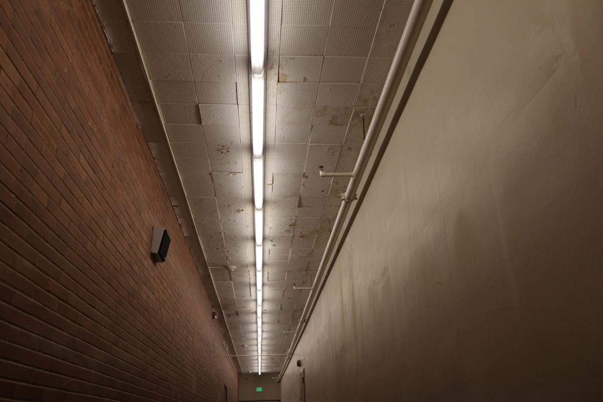 The condition of IBW: how does it impact student achievement?