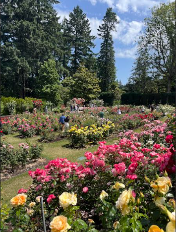 Your next spring adventure awaits: where to visit this spring