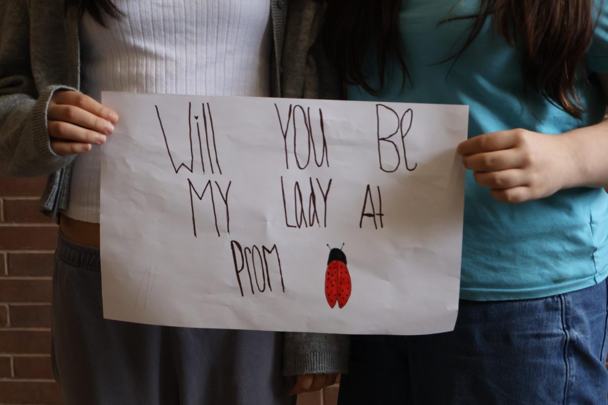 Tangled up with promposals